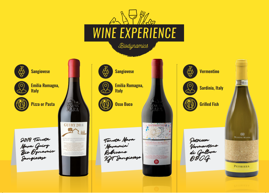 What are Biodynamics? - Wine Experience