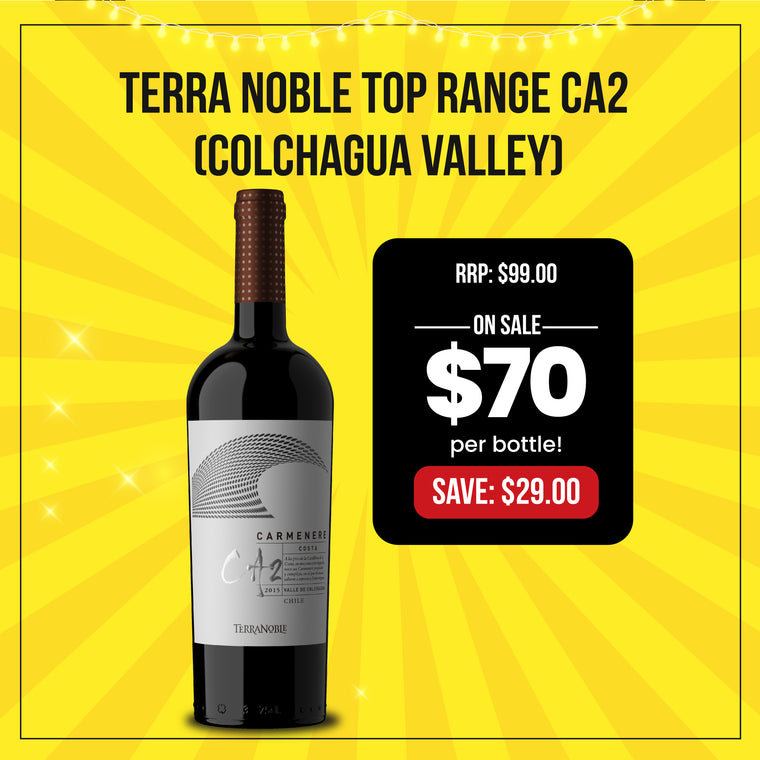 Terra Noble Top Range CA2 (Colchagua Valley)