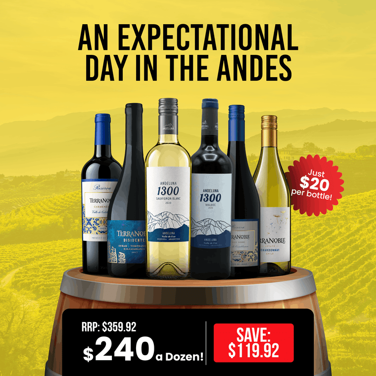 An Expectational Day in the Andes  – Limited Edition