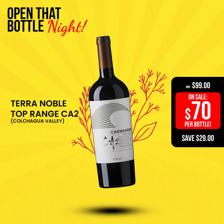Terra Noble Top Range CA2 (Colchagua Valley)